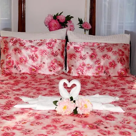 Bor-furdo Apartman